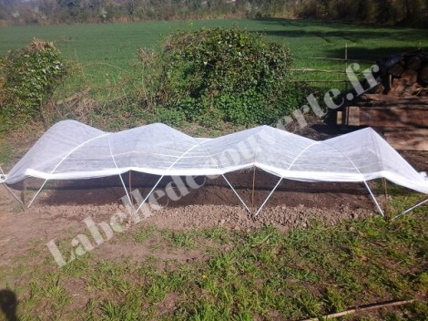 tunnel-nantais potager-1