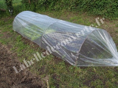 tunnel-nantais-potager-3