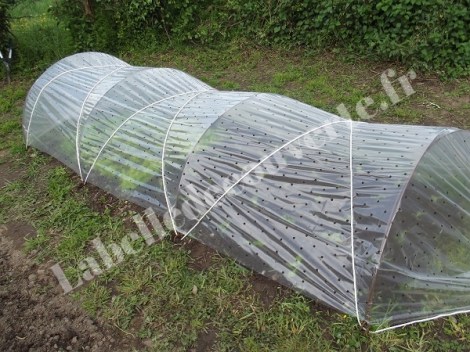 tunnel-nantais-potager-4